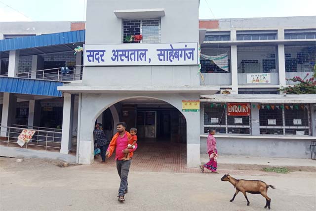 डीएमएफटी से बहाल हुए 6 डॉक्टर