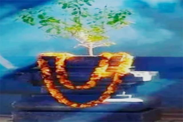 रांची में विश्व तुलसी पूजन दिवस : 20 दिसंबर को वाहन यात्रा से सेवा वितरण