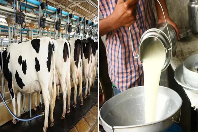 ताजा सर्वें में आया सामने……….ट्रंप नहीं खत्म कर सकते भारत में डेयरी कारोबार