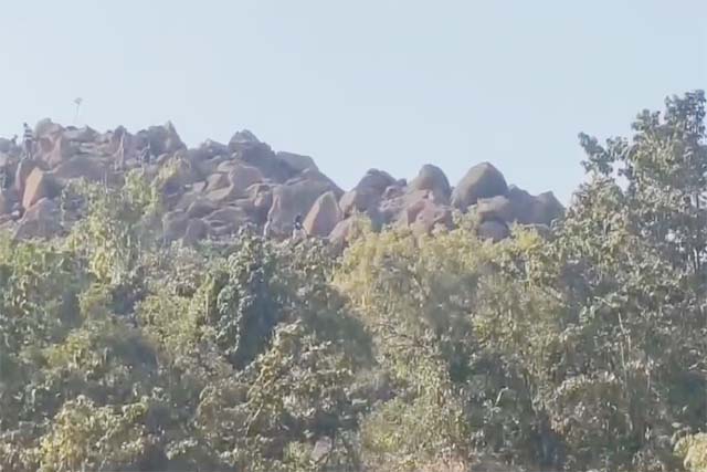 पूर्वी सिंहभूम : 200 फीट ऊंचा तलाई पहाड़ में आज भी होती है मां की पूजा