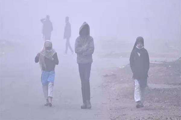 बिहार में बर्फीली हवाओं से जनजीवन प्रभावित, पटना समेत 32 जिलों में कोल्ड डे और घने कोहरे का अलर्ट