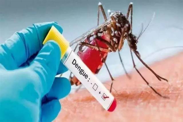 डेंगू से बचाव इस प्रकार करें