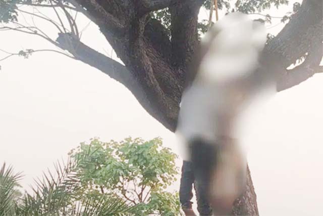 पेड़ से लटकता मिला युवक-युवती का शव, जांच में जुटी पुलिस
