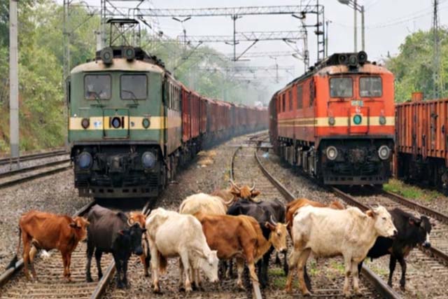 चक्रधरपुर मंडल में रेल परिचालन प्रभावित, कई ट्रेनें रद्द और मार्ग परिवर्तित