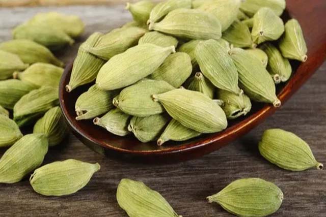 इलायची है औषधीय गुणों का खजाना