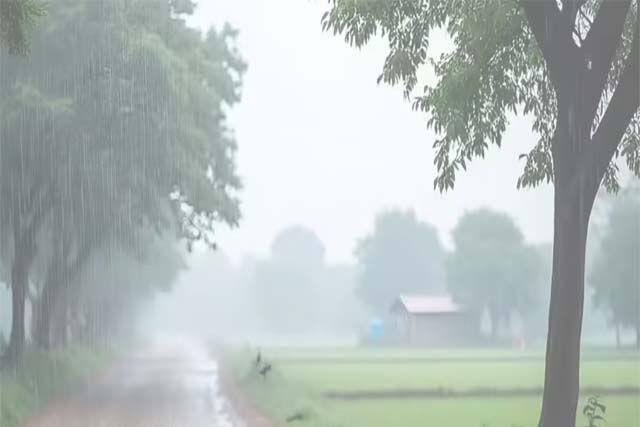 बिहार-झारखंड में बारिश का रेड अलर्ट, सुपर टाइफून बीवी से देश में धीमा पड़ेगा मानसून