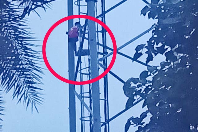 प्रेम प्रसंग में हाई वोल्टेज ड्रामा : प्रेमिका को घर लाने की जिद में मोबाइल टावर पर चढ़ा दो बच्चों का पिता