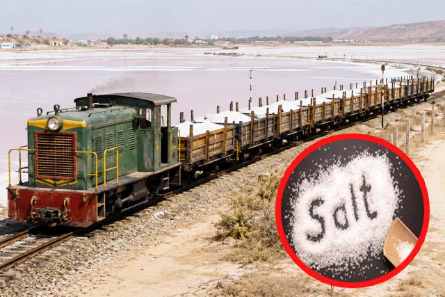 राजस्थान में 145 साल से चल रही है देश की सबसे अनोखी नमक रेल