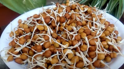 स्वस्थ शरीर के लिए करें अंकुरित काले चनों का सेवन