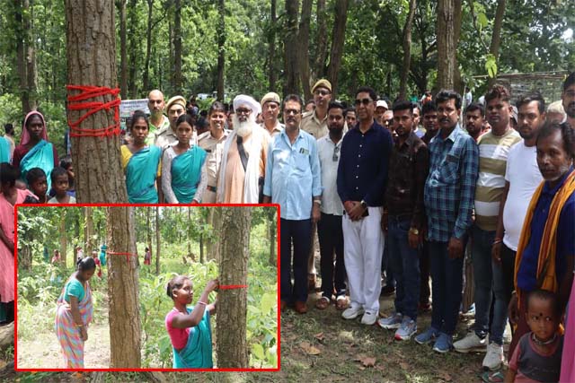 ग्रामीणों व वनकर्मियों ने वृक्ष पर राखी बांध कर लिया वृक्ष संरक्षण का संकल्प