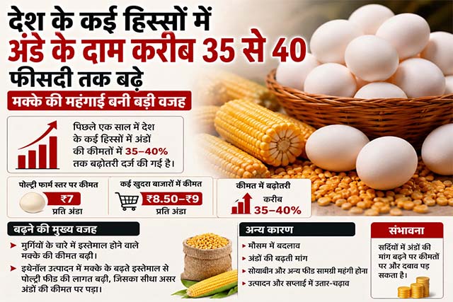 देश के कई हिस्सों में अंडे के दाम करीब 35 से 40 फीसदी तक बढ़े, मक्के की महंगाई बनी बड़ी वजह