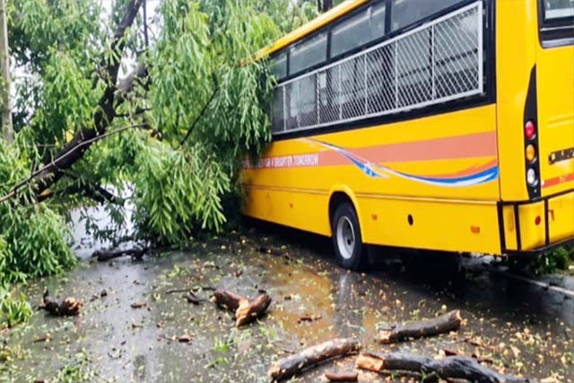 रांची में तेज आंधी-बारिश के बीच स्कूल बस पर गिरा पेड़, बाल-बाल बचे बच्चे